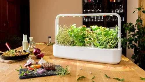 Click & Grow sėklos išmaniajam vazonui - Žolelės mėsai, 9vnt.