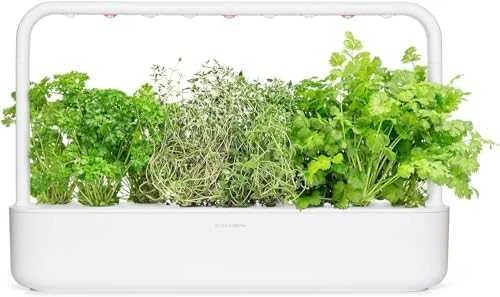 Click & Grow sėklos išmaniajam vazonui - Žolelės mėsai, 9vnt.