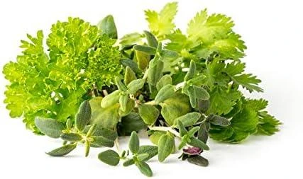 Click & Grow sėklos išmaniajam vazonui - Žolelės mėsai, 9vnt.