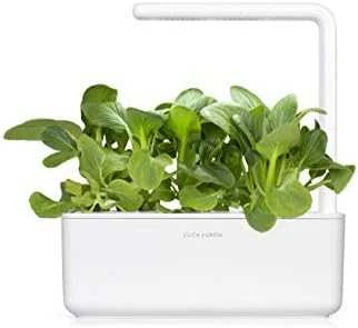 Click and Grow 3 vnt. papildymas - kininių kopūstų sėklos