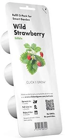 Click & Grow sėklos išmaniajam braškių vazonui  SHGR24x3 3vnt.