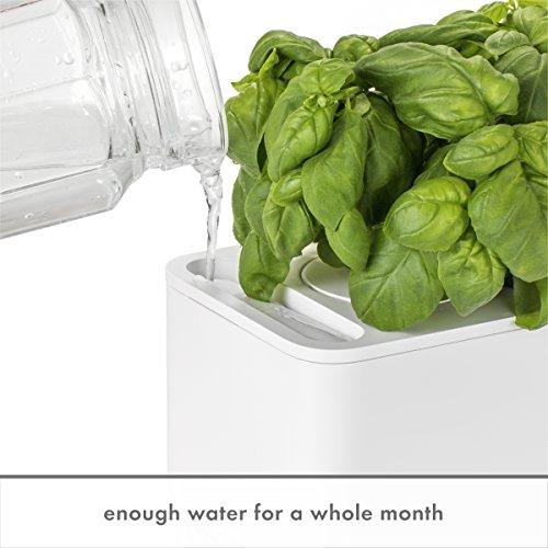 Išmanus namų sodas Click & Grow Smart Indoor Garden 3, pilkas