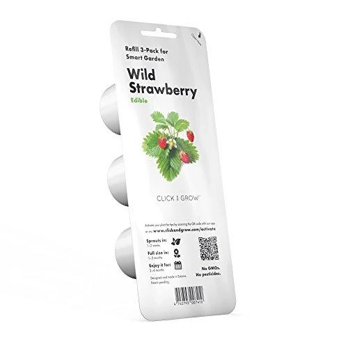 Click & Grow sėklos išmaniajam braškių vazonui  SHGR24x3 3vnt.