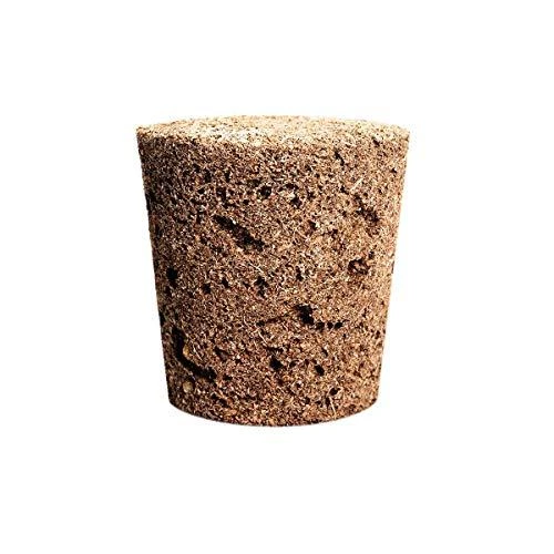 Click & Grow sėklos išmaniajam braškių vazonui  SHGR24x3 3vnt.