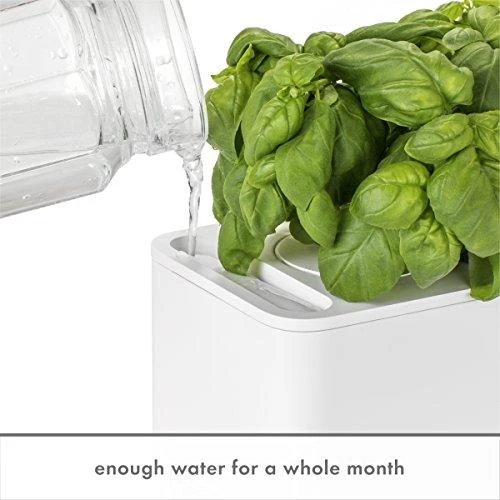 Išmanus namų sodas Click & Grow Smart Indoor Garden 3, baltas