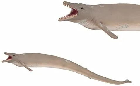Collecta žuvis Basilosaurus XL, 88797