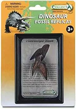 Figūrinė Collecta COLLECTA DANTŲ TRICERATOPSA PAKUOTĖJE