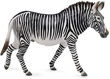 Collecta Figūrėlė Grevy's veislės zebras (XL)