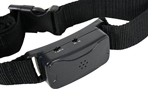 Antkaklis Zolux ANTI-BARK L, juoda, 165 - 235 mm x 45 mm
