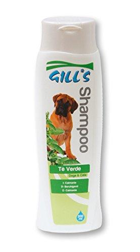 GILL'S GEEN TEA šampūnas (su žaliosios arbatos ekstraktu) 200ml