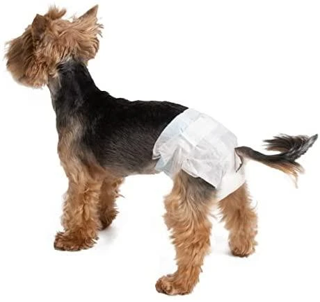 Cani Amici Dog Nappy sauskelnės šunims 6-10kg