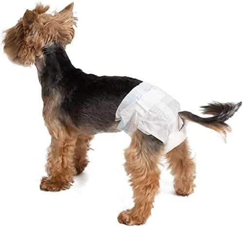 Croci Spa Dog sauskelnės sauskelnės šunim XL 40-62cm