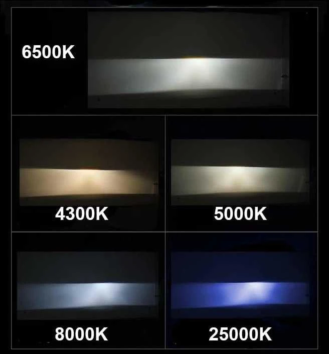 Amio Ksenoninė lemputė D3S 4300K