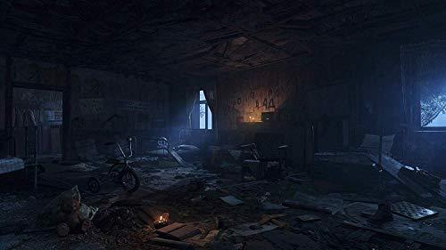 Deep Silver Deep Sidabrinis Metro Exodus PS4