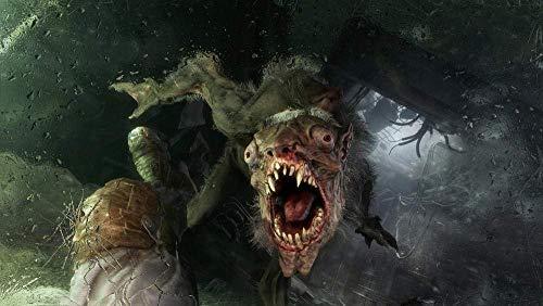 Deep Silver Deep Sidabrinis Metro Exodus PS4