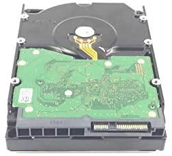 „Dell“ 6 TB 3,5 colio SAS-3 (12 Gb/s) serverio diskas (PYM8J)