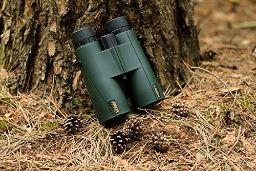 Deltaoptical Žiūronai Delta Forest II 12x50