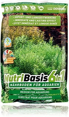 Dennerle NutriBasis 6in1 2,4kg