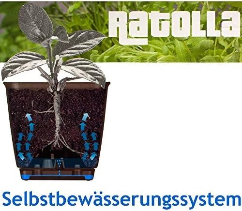 Prosperplast Lovelis su laikikliu Ratolla Antracyt, 38,6 x 15,4 x 14,2 cm