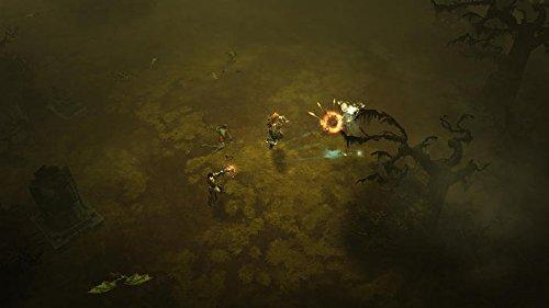 Sony BLIZZARD Diablo III Eternal Collection PS4 EN