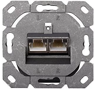 Digitus Lizdas CAT 6 2xRJ45 (DN-9006/B5-N)