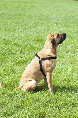 Dingo Easy Walk petnešos šunų tempimui 48-64cm juoda