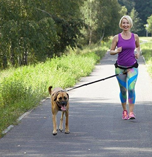 Dingo pavadėlis su amortizatoriumi ir 2 karabinais, ilgis 170 cm - 14699