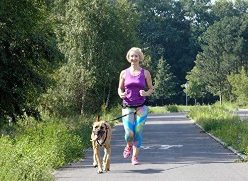 Dingo pavadėlis su amortizatoriumi ir 2 karabinais, ilgis 170 cm - 14699