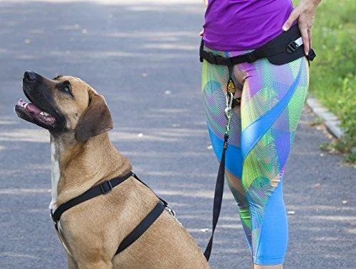 Dingo pavadėlis su amortizatoriumi ir 2 karabinais, ilgis 170 cm - 14699