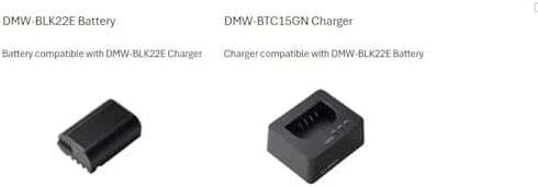 Panasonic DMW-BLK22E