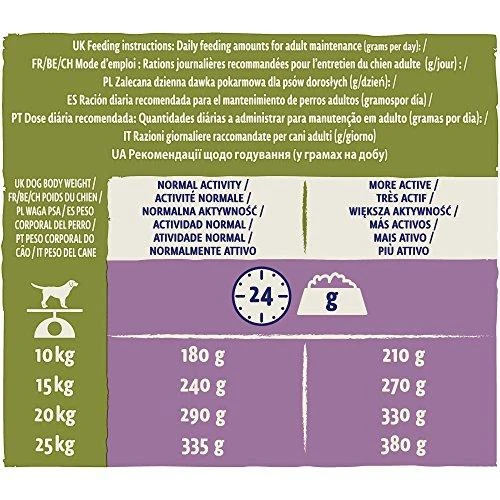 Purina DOG CHOW Adult Lamb 14kg