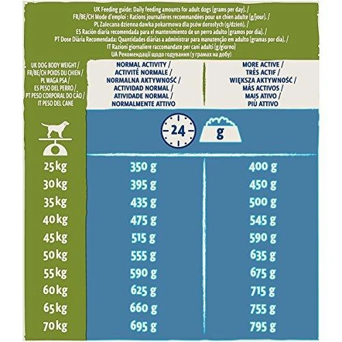 Purina Nestle Purina DOG CHOW Large Breed Adult 14 kg kalakutiena