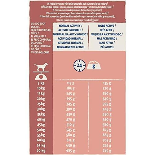 Purina DOG CHOW Sensitive With Salmon su lašiša 14kg