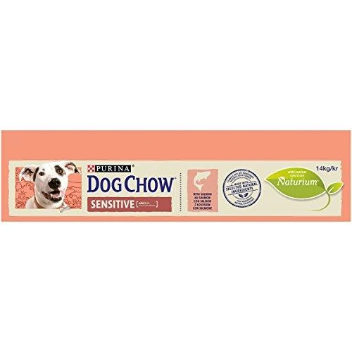 Purina DOG CHOW Sensitive With Salmon su lašiša 14kg