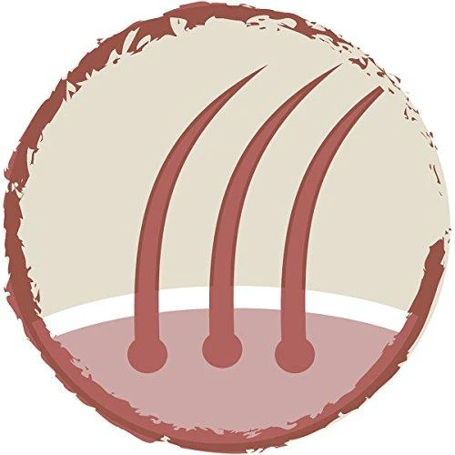 Purina DOG CHOW Sensitive With Salmon su lašiša 14kg