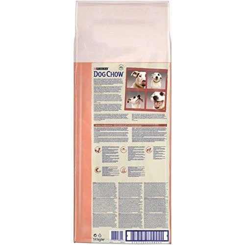 Purina DOG CHOW Sensitive With Salmon su lašiša 14kg