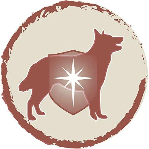 Purina DOG CHOW Sensitive With Salmon su lašiša 14kg