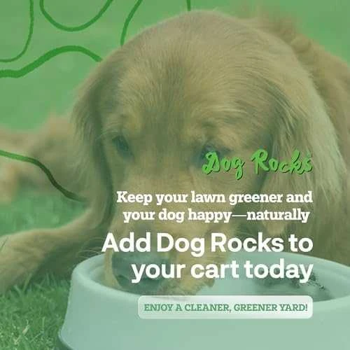 Numaxes Dog Rocks