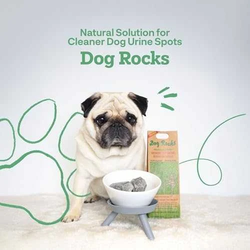 Numaxes Dog Rocks