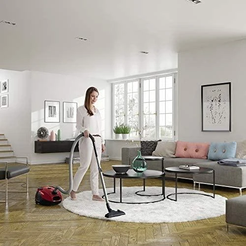 Electrolux EPF61RR 800 W Cilindro dulkių siurblys Dry Dul maišelis 3,5 L