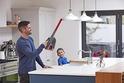 Black & Decker Juodas & Decker Nešiojamas Dulkių Siurblys - Juodas & Decker Dustbuster Juodas/raudonas