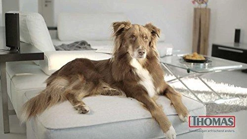 Dulkių siurblys Aukščiausios Premium klasės siurblys Thomas Pet& Family Aqua+