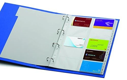 Durable Patvarūs papildymai Visifix 2384 ir 2388 vizitinių kortelių laikikliams 10vnt. scaidrus (2389-19)