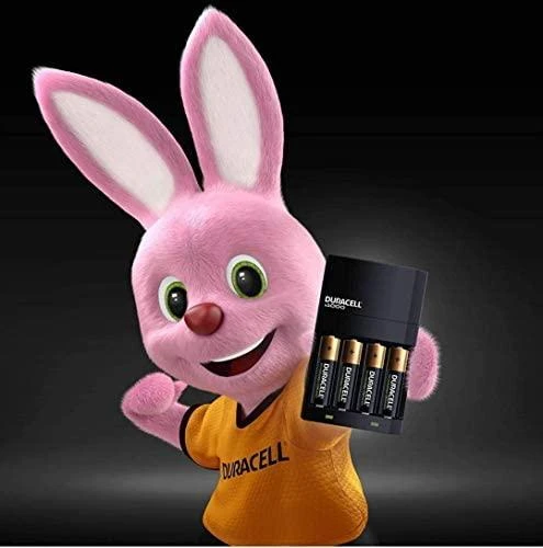 Duracell 5000394114500 baterijų įkroviklis AC