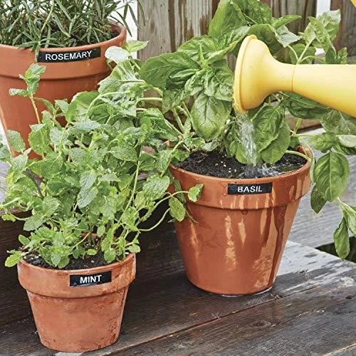 Etikečių spausdintuvas Dymo 160 S0946340