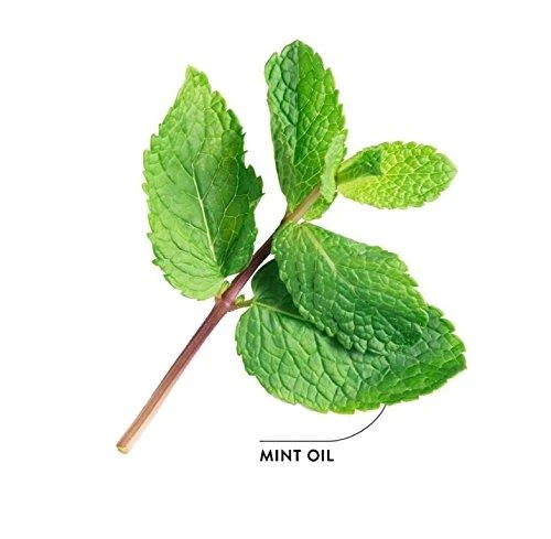 Ecodenta Mint - Šalavijų balinanti dantų pasta 100ml