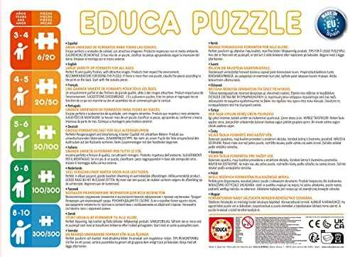 Educa Dėlionės 50 + 80 + 100 + 150 Ledo šalis II G3