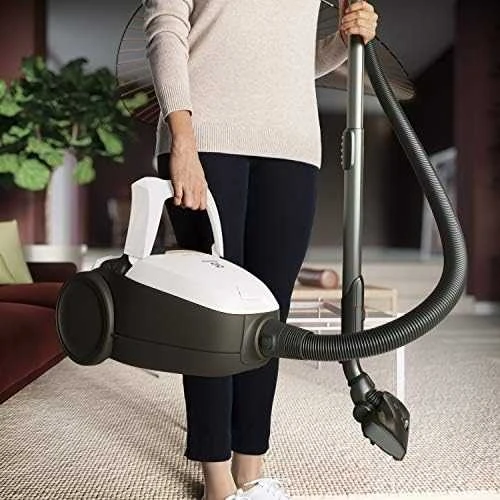 Electrolux PD82-ALRGT 3,5 L cilindrinis vakuuminis sausas 650 W dulkių maišelis