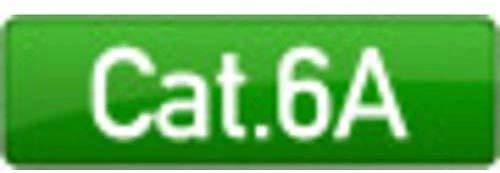 Efb Elektronik EFB RJ45 flat Komutacinis kabelis U/UTP, Cat.6A, PVC, 0,25m, juodas (K8107SW.0,25)