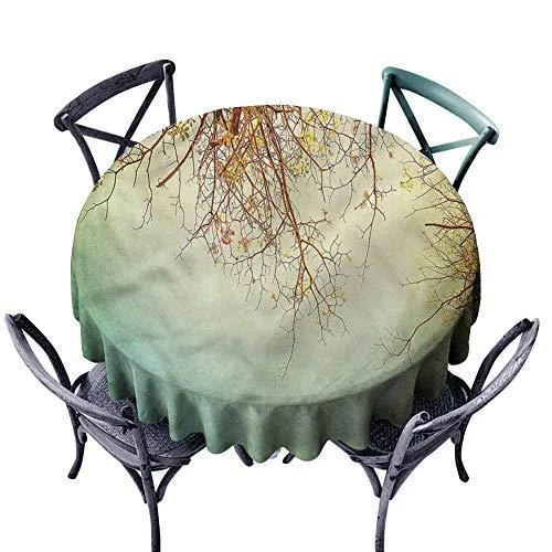 Gartraukis Eleyus Hood TLS L 14 150 60 WH (Storm 700 60 WH LED) Teleskopinis, D energijos vartojimo efektyvumo klasė, Plotis 60 cm, 355 m³/h, Mechaninis valdymas, LED, Baltas